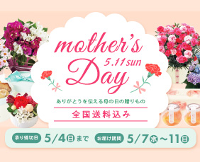 /LP/2025mothersday/assets/images/2025mothersday_pickup.jpg